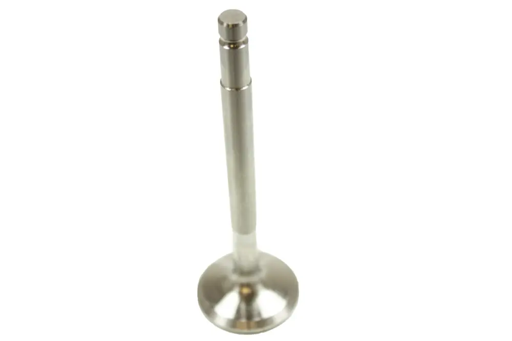 Válvula Escape (ERC7151) Gran Oferta