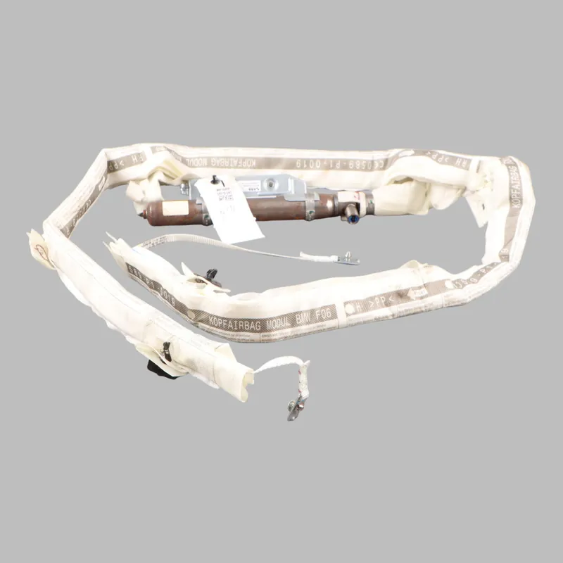 Última Versión BMW F06 Techo Headliner Cortina Módulo De Aire Derecho 7273436