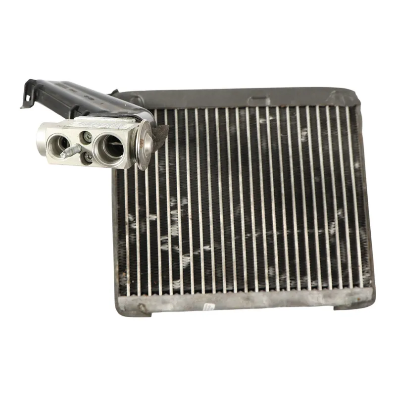 Range Rover Evoque L538 Evaporador Aire Acondicionado L5174008 Liquidación